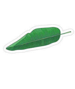 Banana Leaf - Sticker